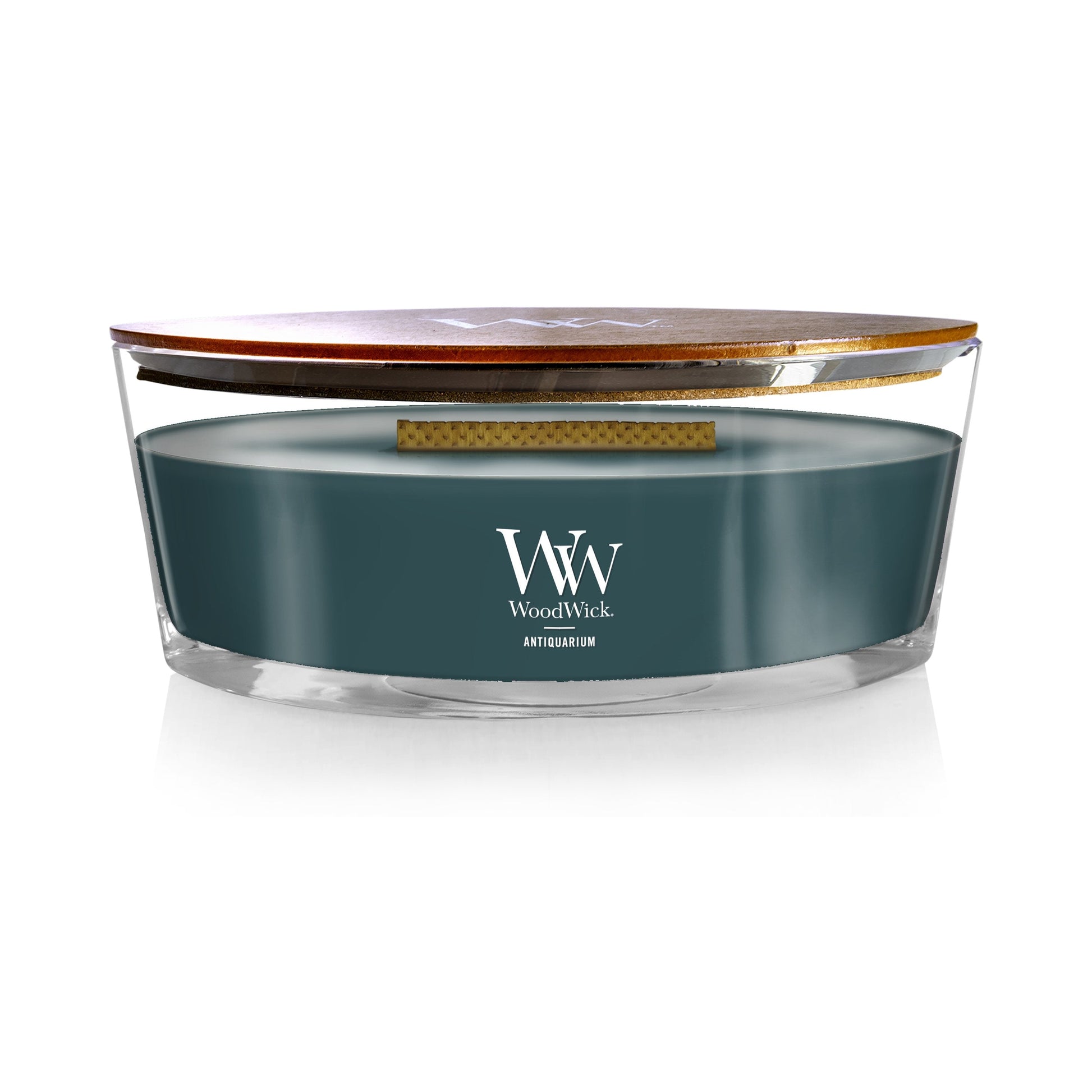 antiquarium ellipse candle